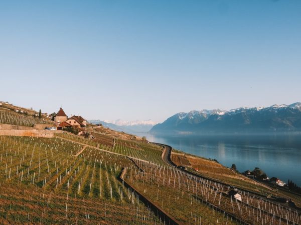 financement reprise entreprise commerce et PME a remettre en Suisse Romande